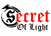 Translation missing: it.Secret of Light accessibility.home